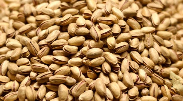 تصویر 1 از قیمت خرید پسته اکبری رفسنجان + فروش ویژه